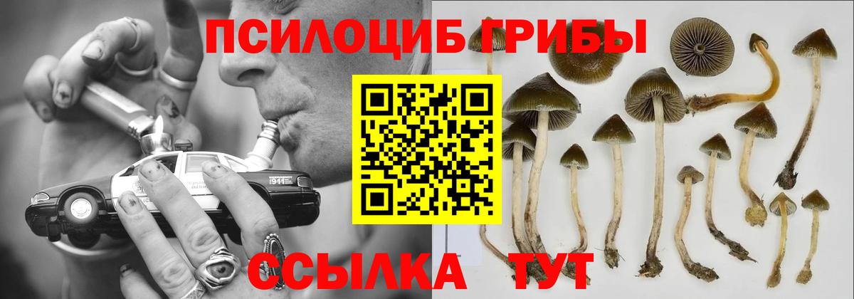 Псилоцибиновые грибы Cubensis Реж