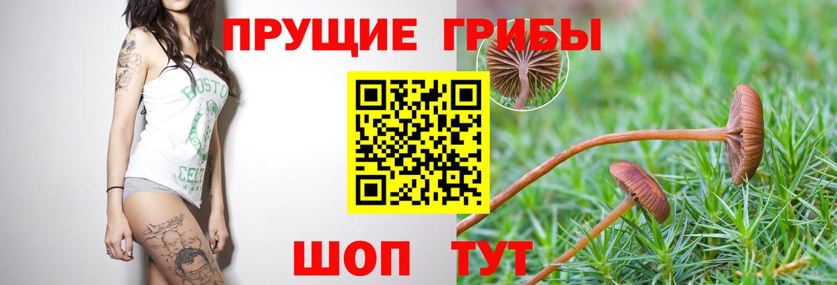 Реж  Псилоцибиновые грибы ЛСД  Галлюциногенные грибы мухоморы  сколько стоит  Вход с VPN 